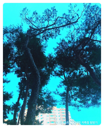 스타벅스 대전지족점 이미지
