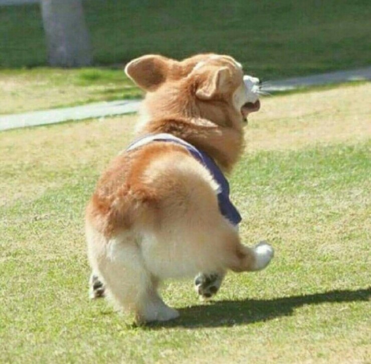 썬즈엔 이미지
