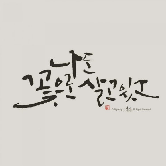 청송꽃차이야기 솔채 이미지