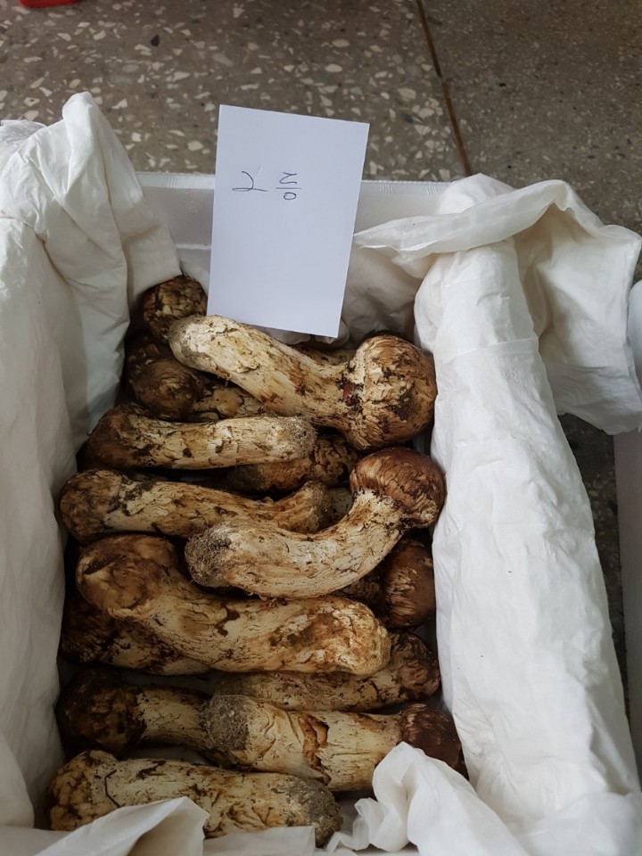 봉화농산 이미지
