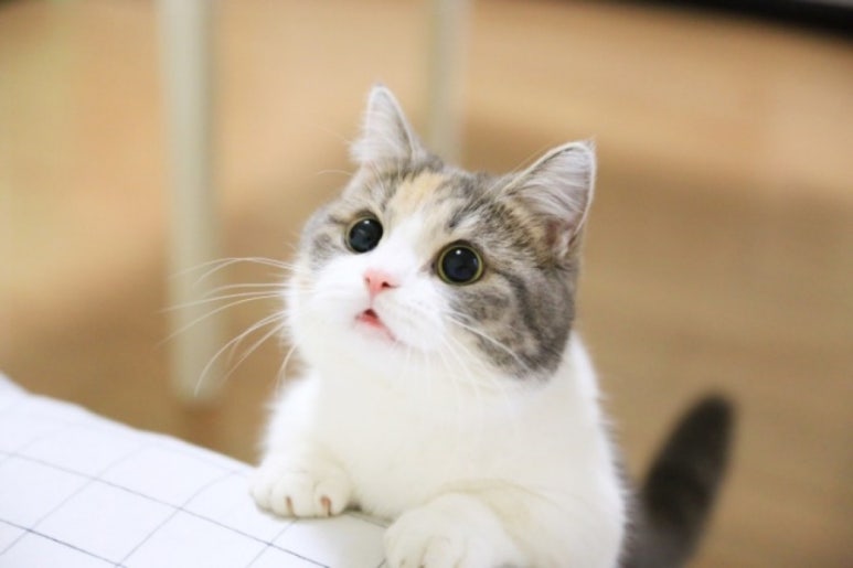 나우.스터디카페 이미지