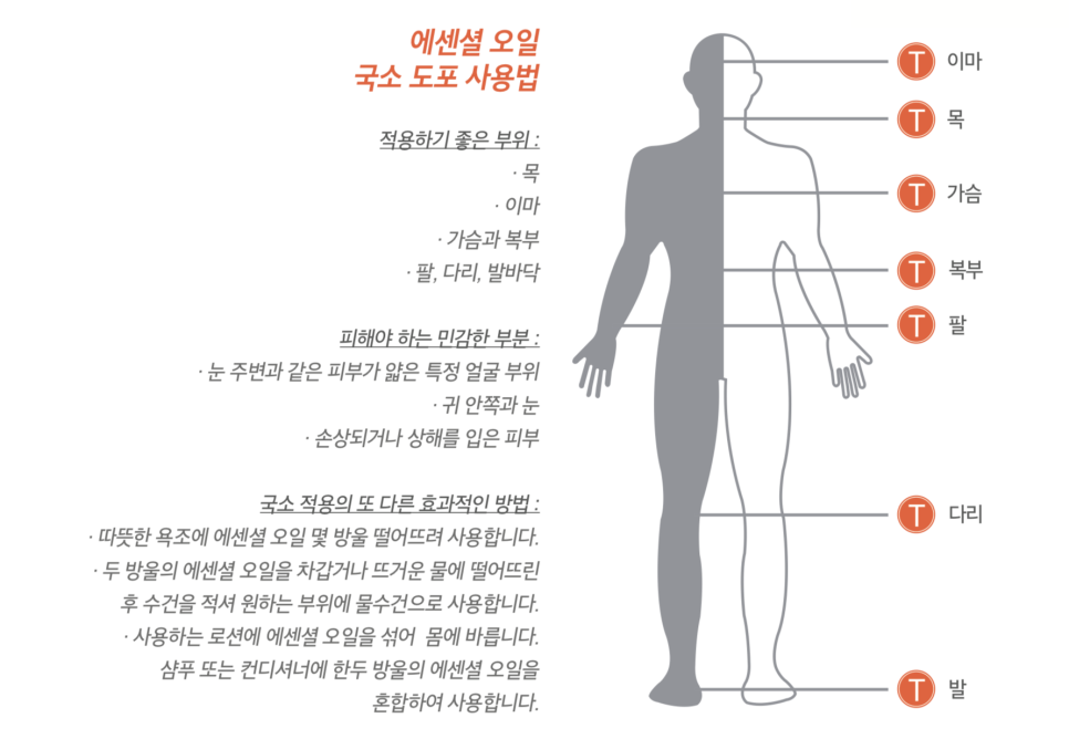 일일오일 이미지