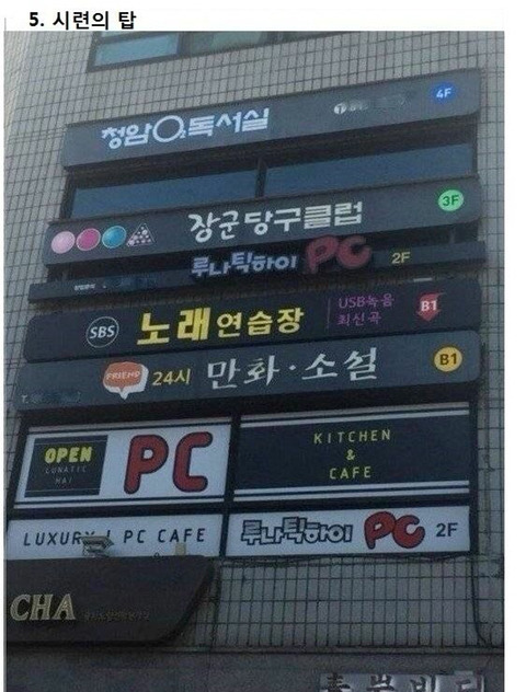 대한민국당구장 이미지