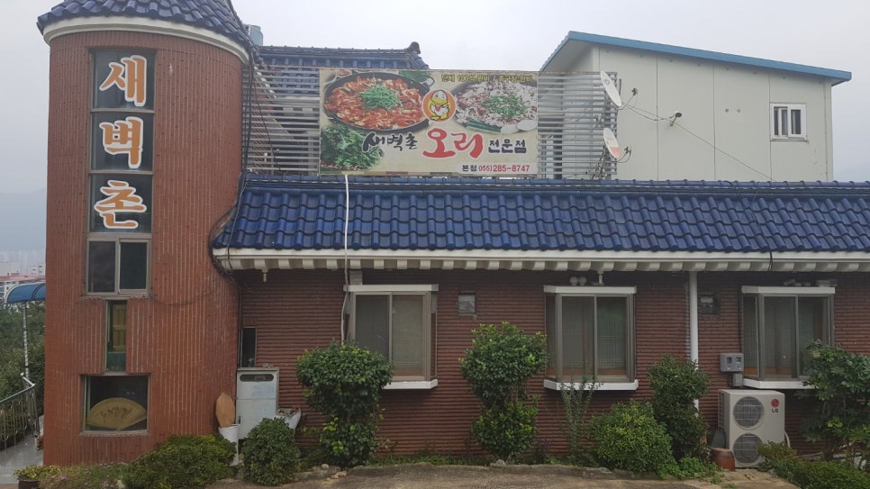 새벽촌 이미지