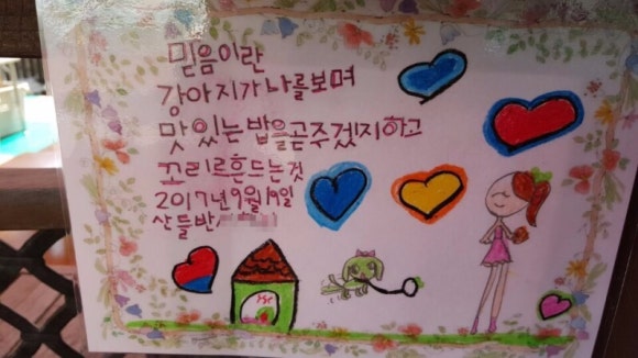 로즈애플 이미지