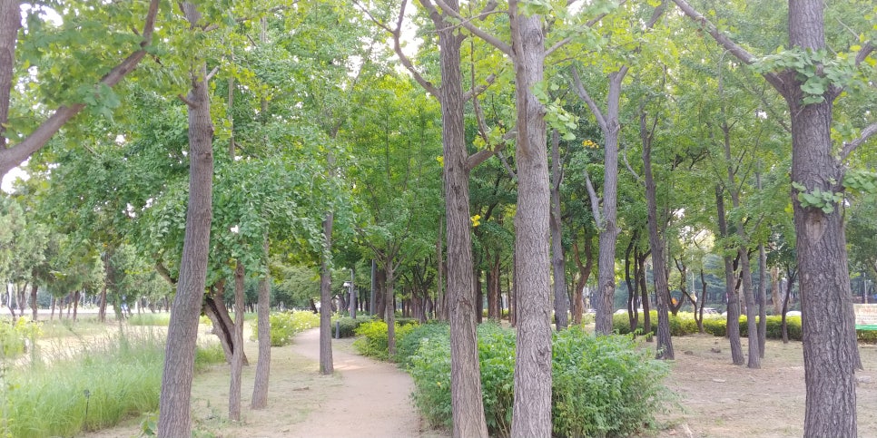 숲길 이미지