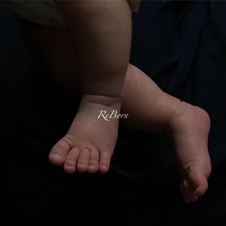 리본(Reborn) 이미지