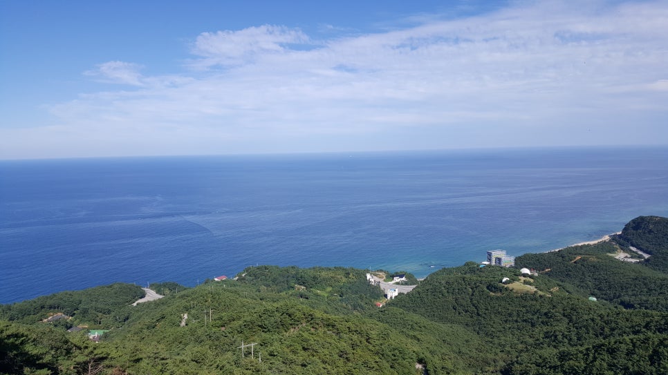 하슬라통신 이미지