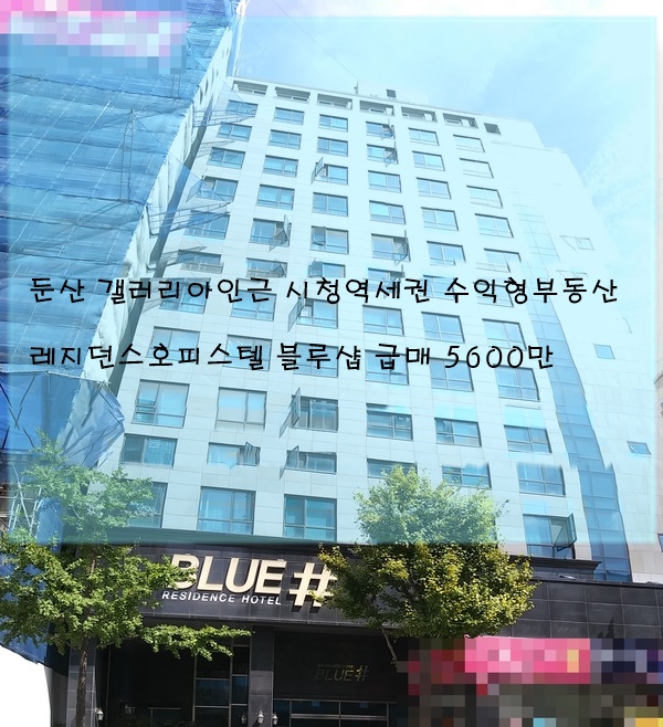 블루샵 이미지