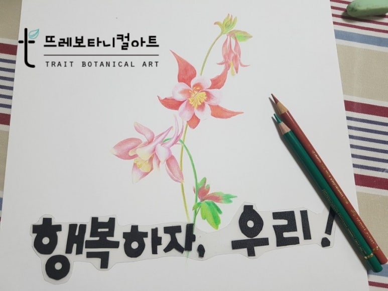 (주)뜨레 이미지