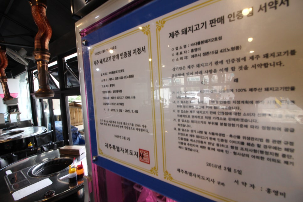 바다를품은돼지 이미지
