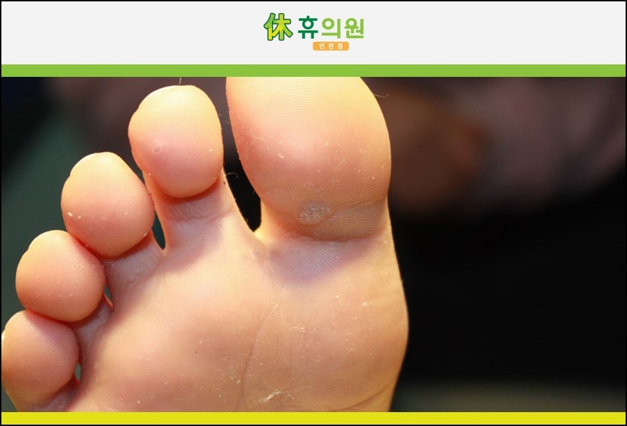 휴의원 이미지