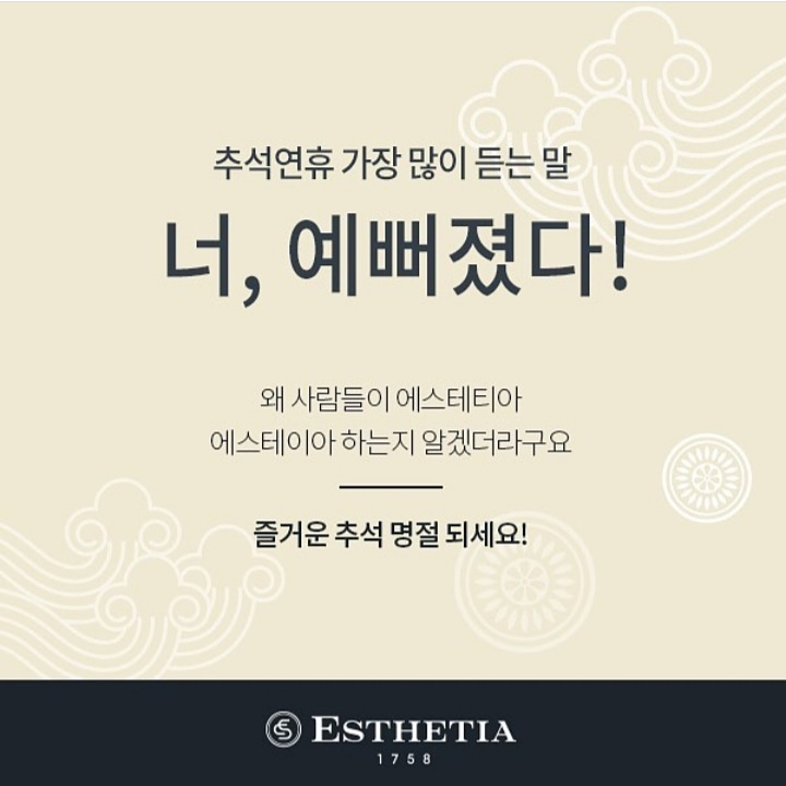 에스테티아세종소담 이미지