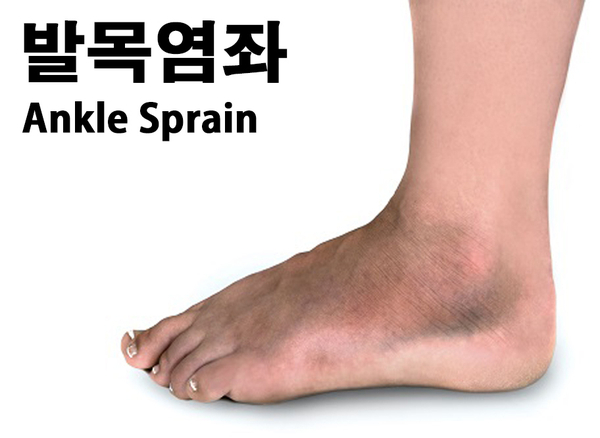 더셀채원병원 이미지