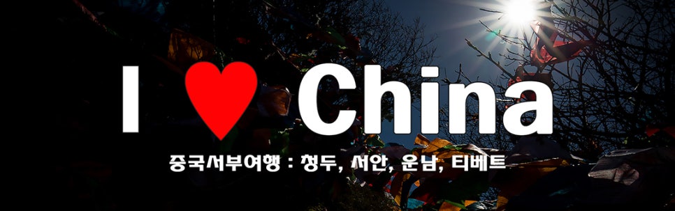 봉황택시 이미지