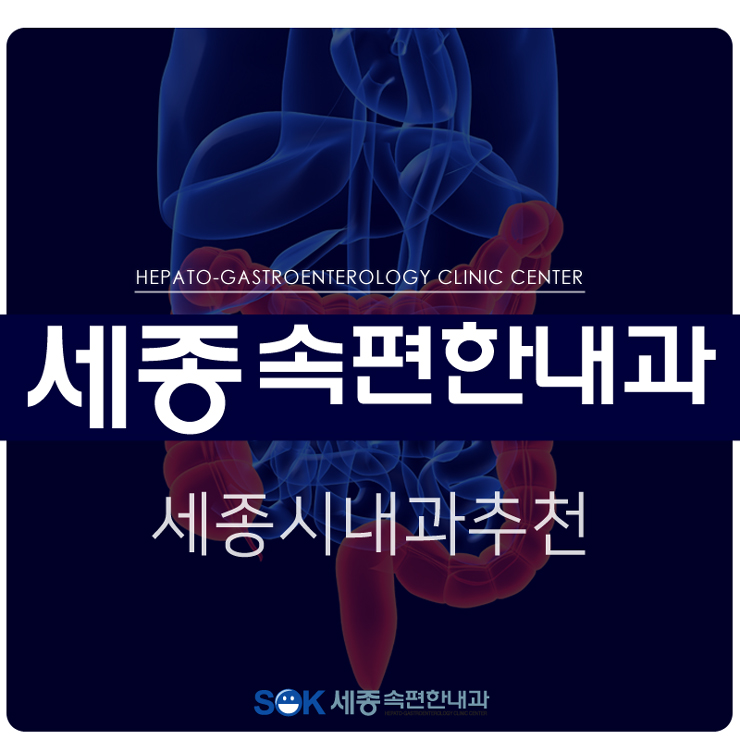 세종속편한내과 이미지
