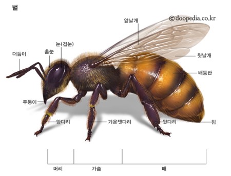 마님 이미지