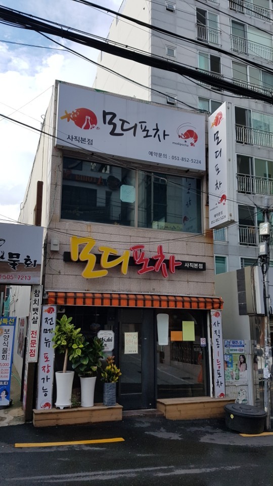 모디포차 이미지
