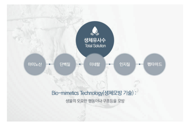 스텝셀 이미지