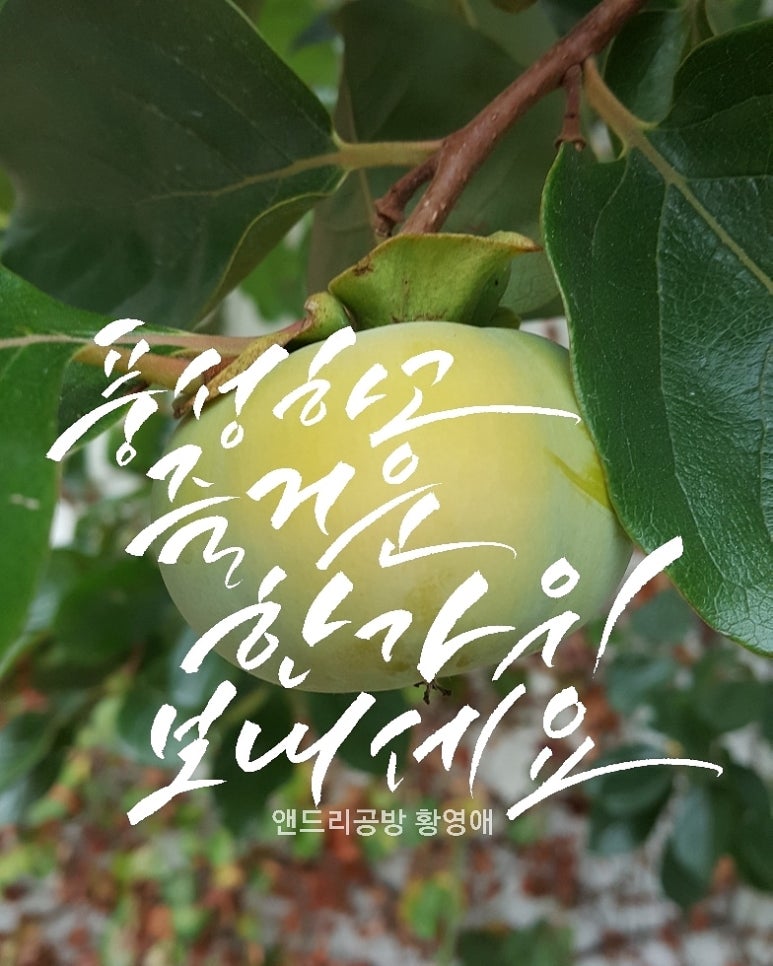 앤드리공방 이미지