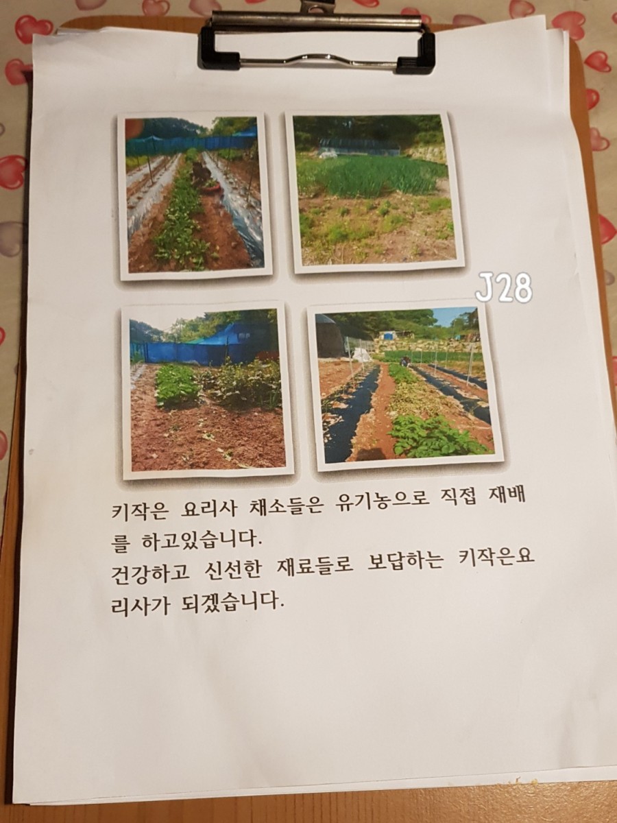 키작은요리사 이미지