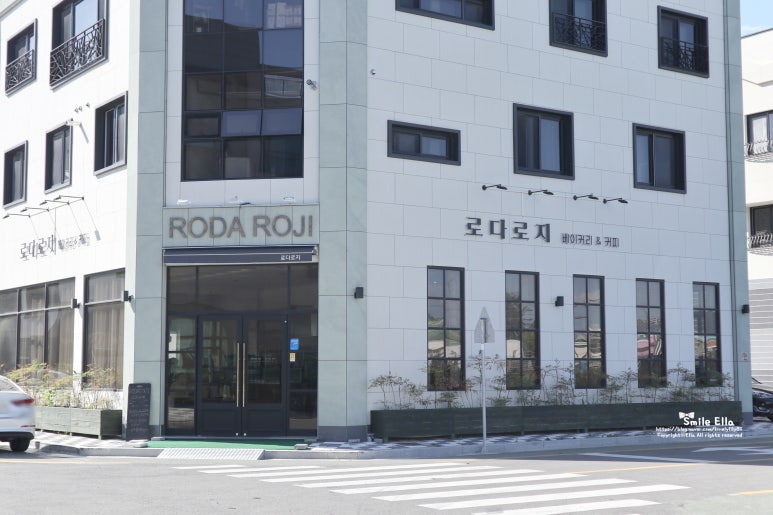 로다로지 이미지