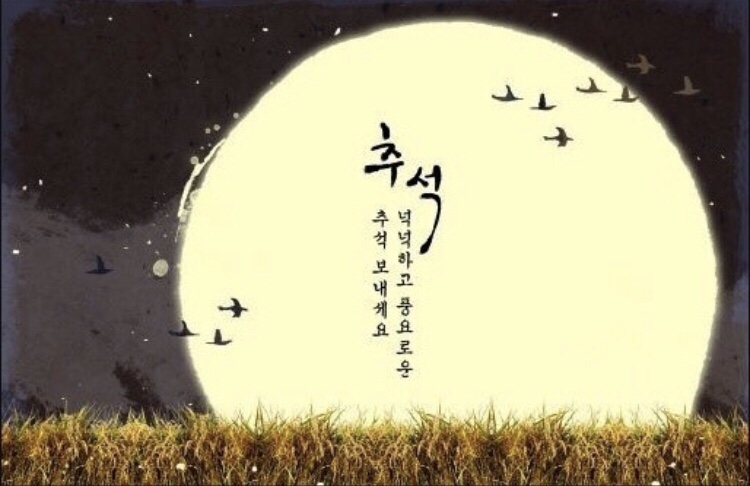 코코방고 이미지