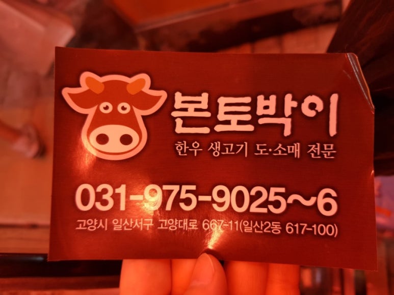 본토박이한우 이미지