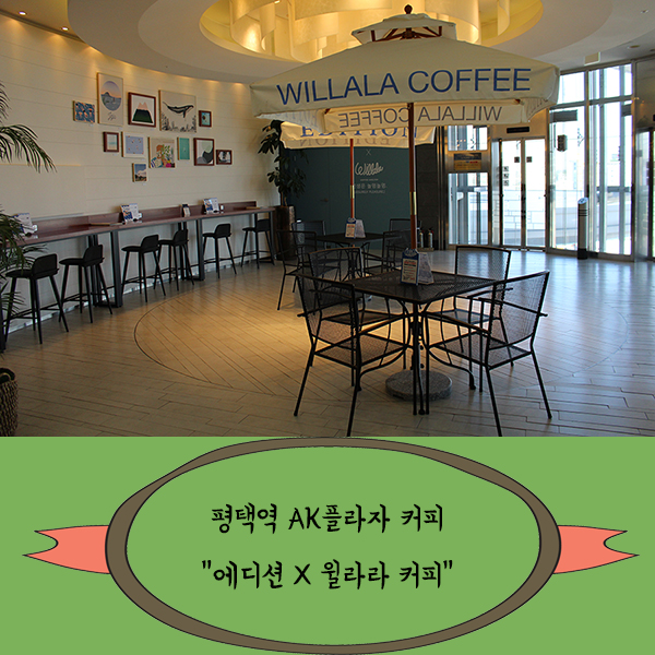 윌라라커피 이미지