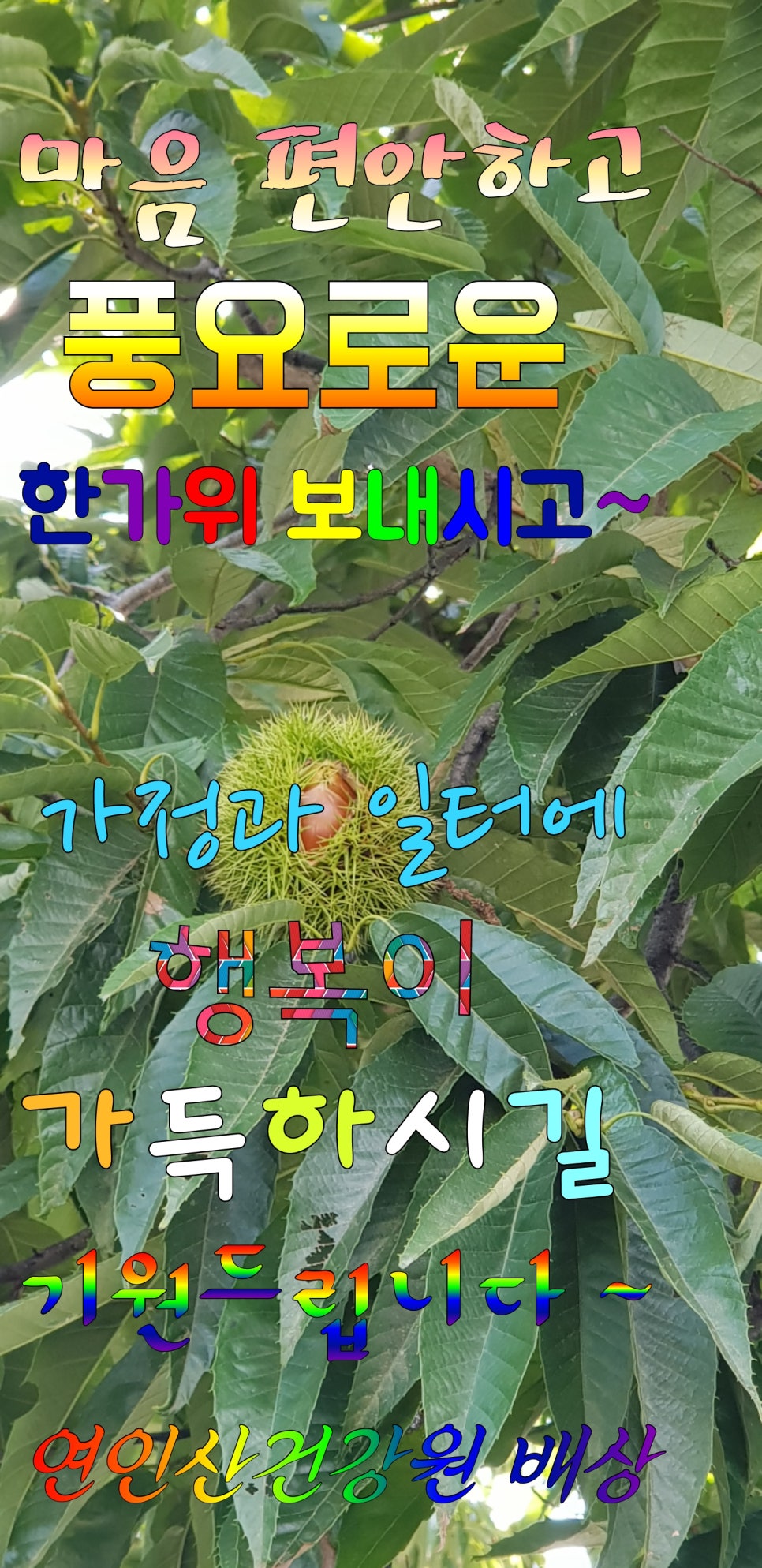 행복한건강원 이미지