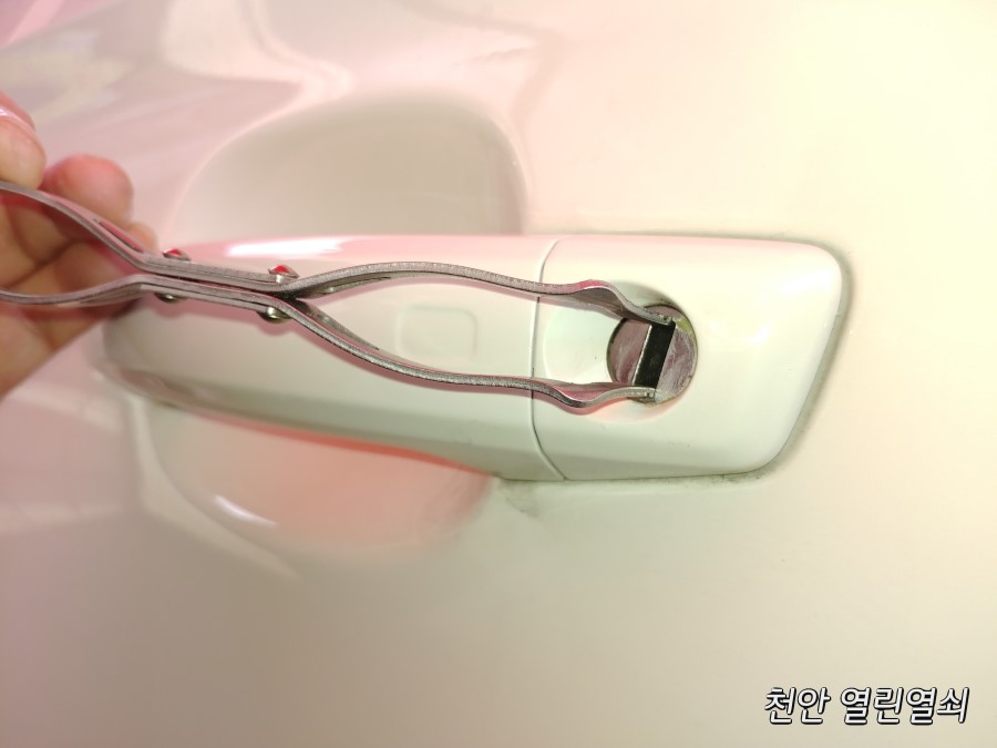 맘모스세차장 이미지