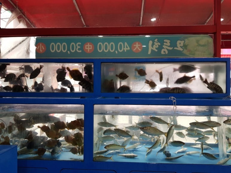 태영회센터 이미지