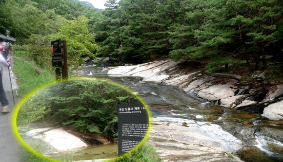 도림민박식당 이미지