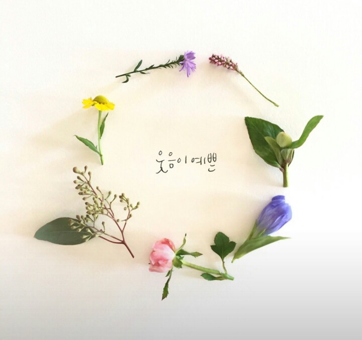 미소나무 이미지