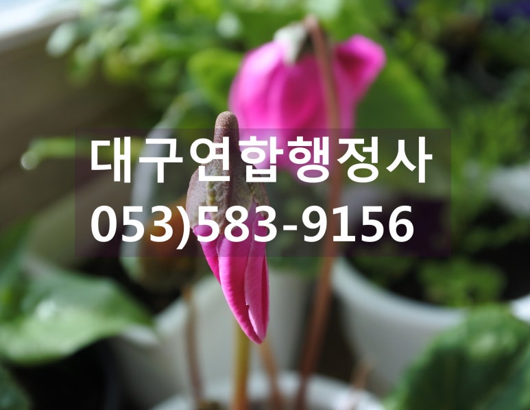 행정사김덕수 이미지