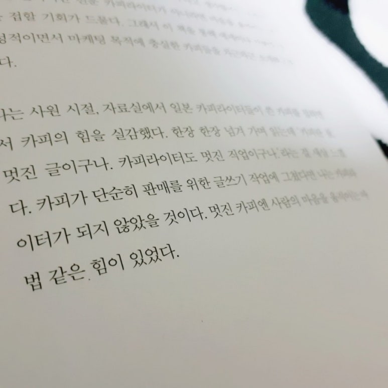 카피댓 이미지