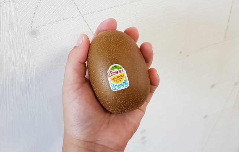 빅키위 이미지