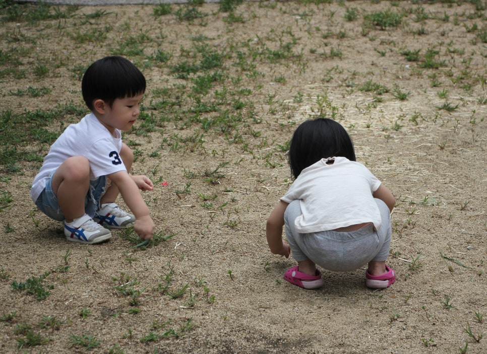 냉산친환경체험농장 이미지