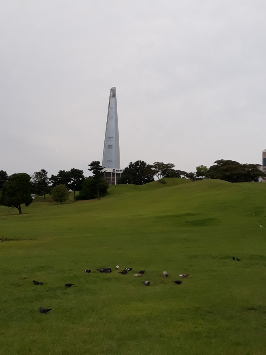 나무와나 이미지