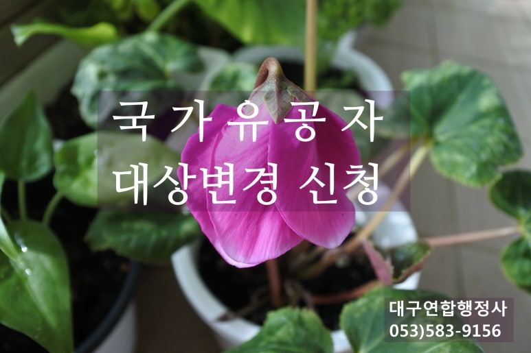 행정사김덕수 이미지