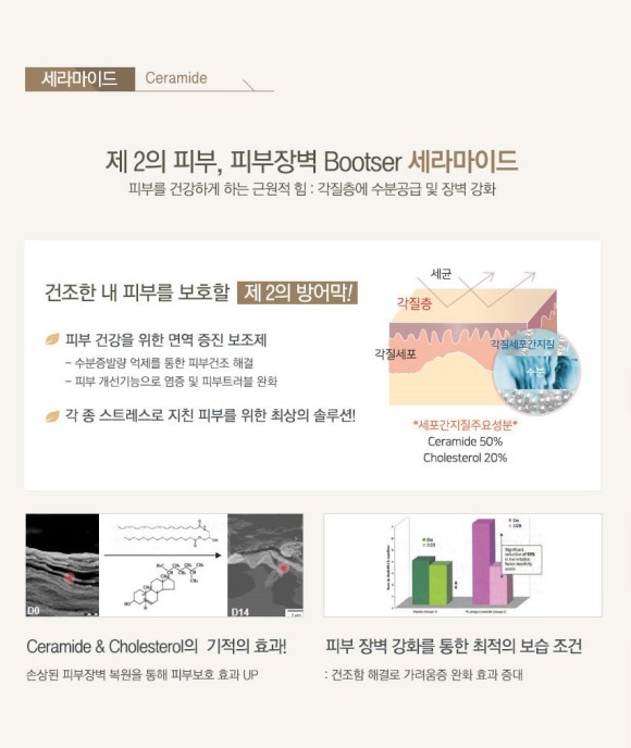스텝셀 이미지