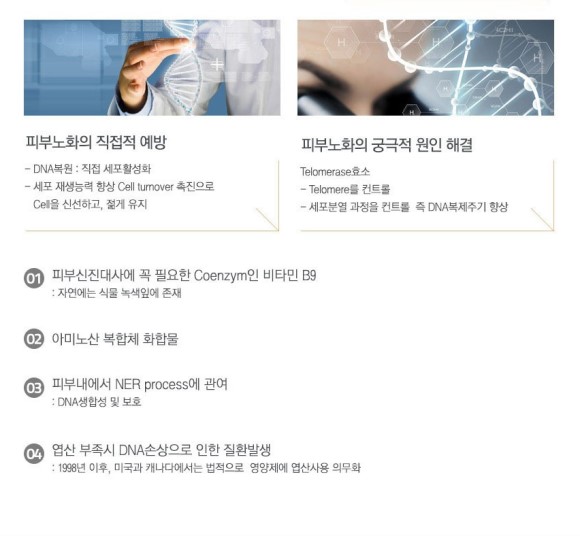 스텝셀 이미지