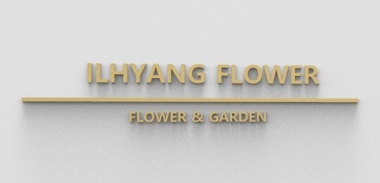 삼부꽃집 이미지