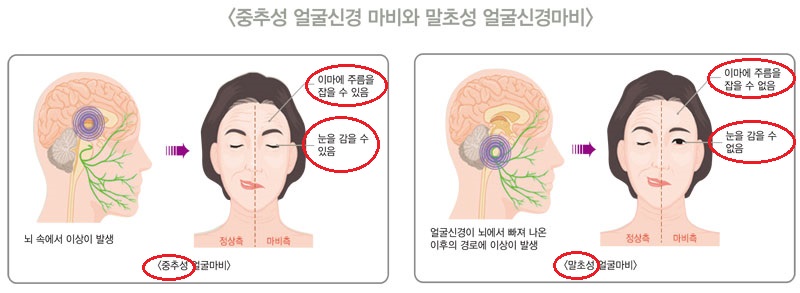 신성한의원 이미지