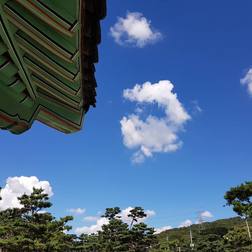 돼지쉼터 이미지