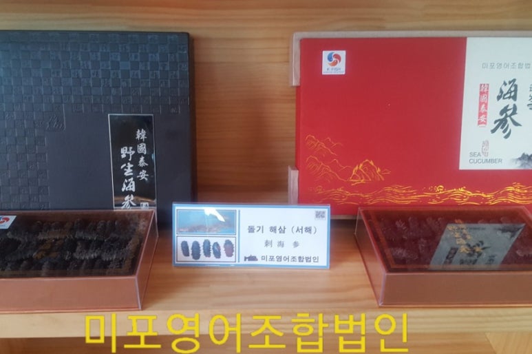 미포영어조합법인 이미지