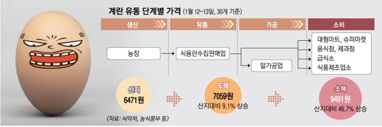 대한계란유통 이미지