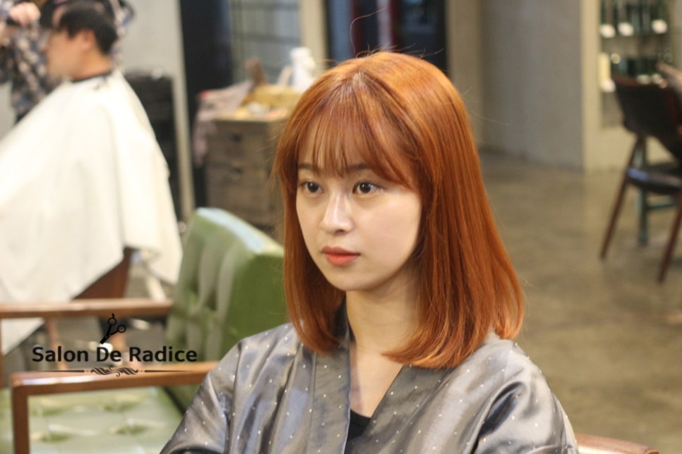 살롱드;나온 이미지