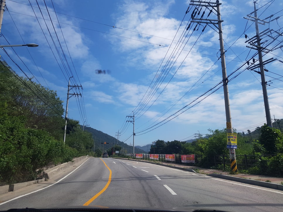 엘주란 이미지
