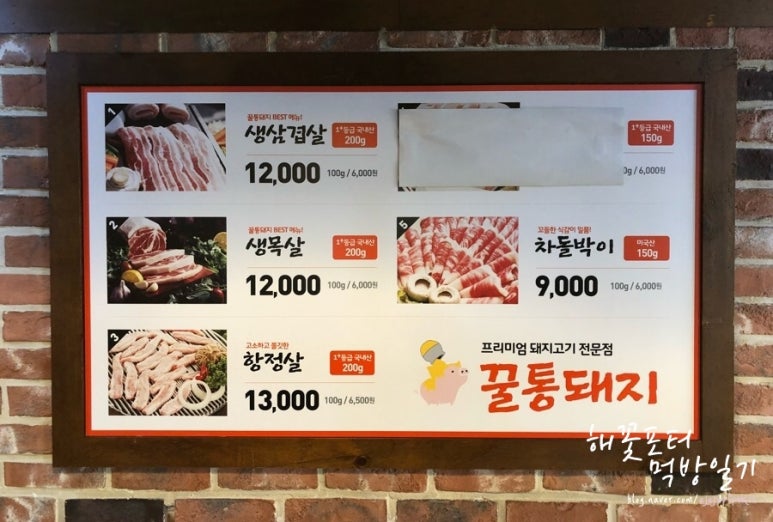 꿀통돼지 이미지